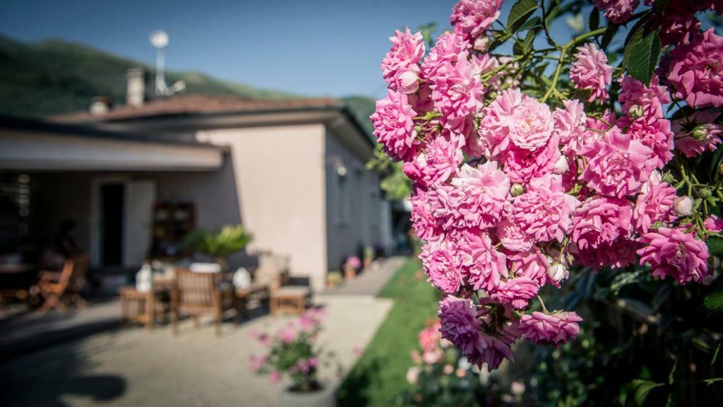 Вилла Casa Vittoria Камайоре Экстерьер фото